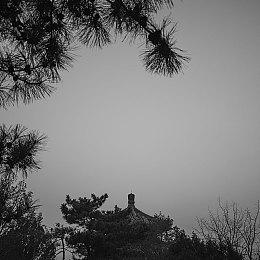 村里第二个大学生？国产单机《归唐》首支预告片发布